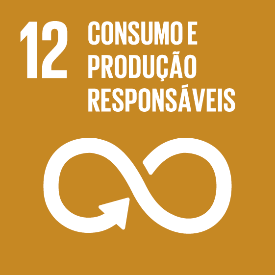 ODS 12