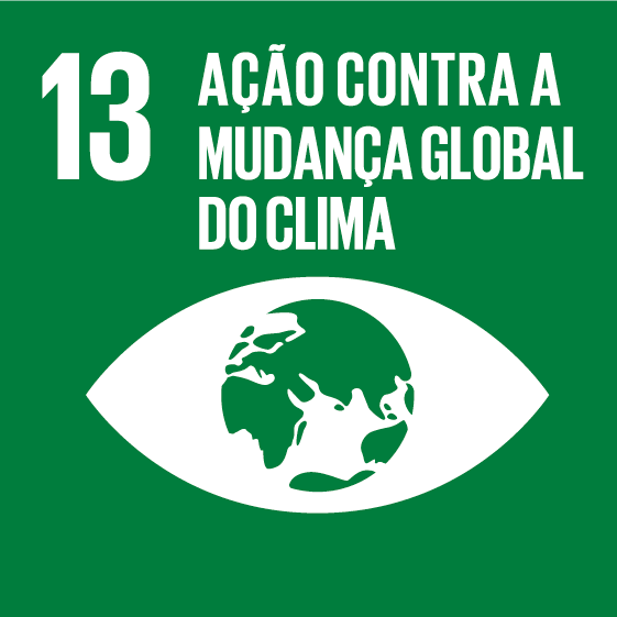 ODS 13